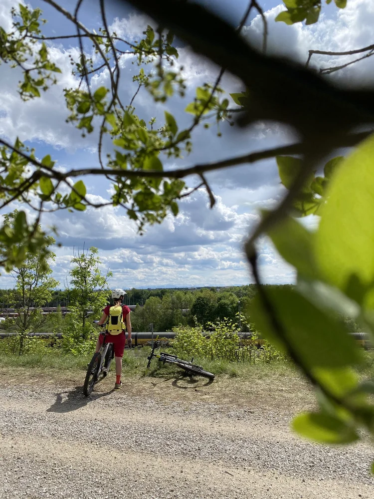 Mountainbiken In Munchen Die Fasanerietrails Im Norden Rumpeldipumpel Mountainbike Blog