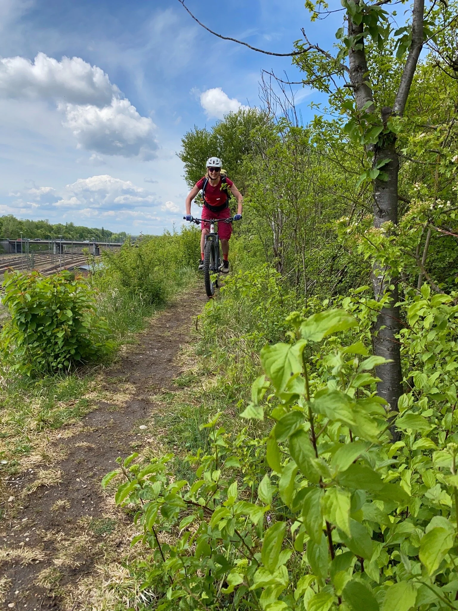 Mountainbiken in München – die Fasanerietrails im Norden 