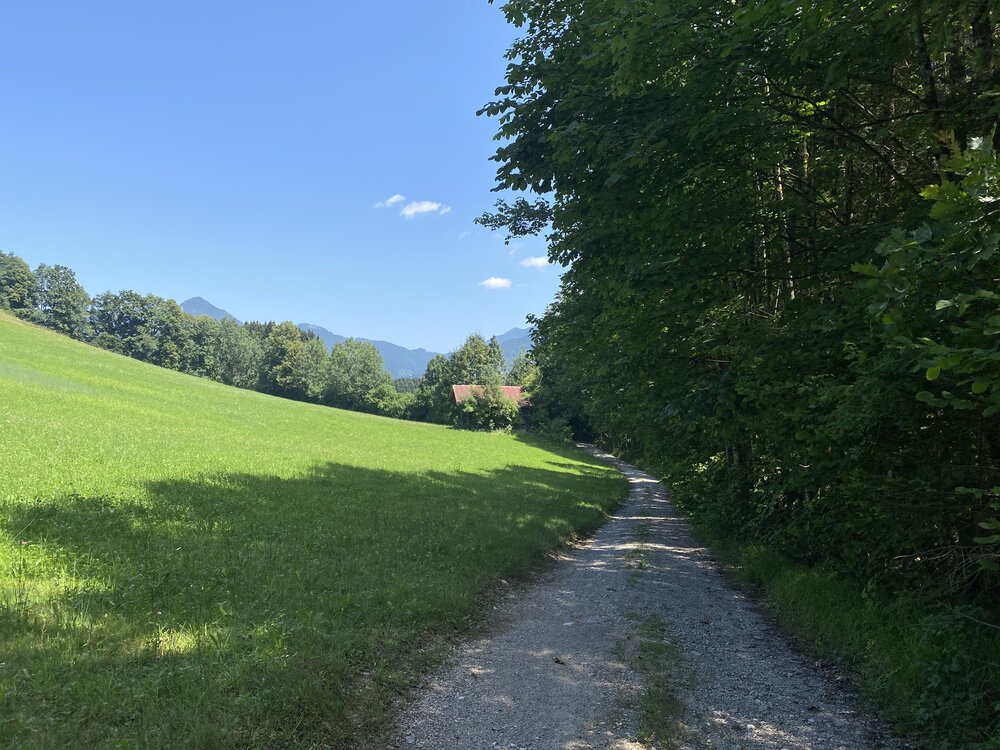 Kurz nach der Weggabelung nach Wegscheid