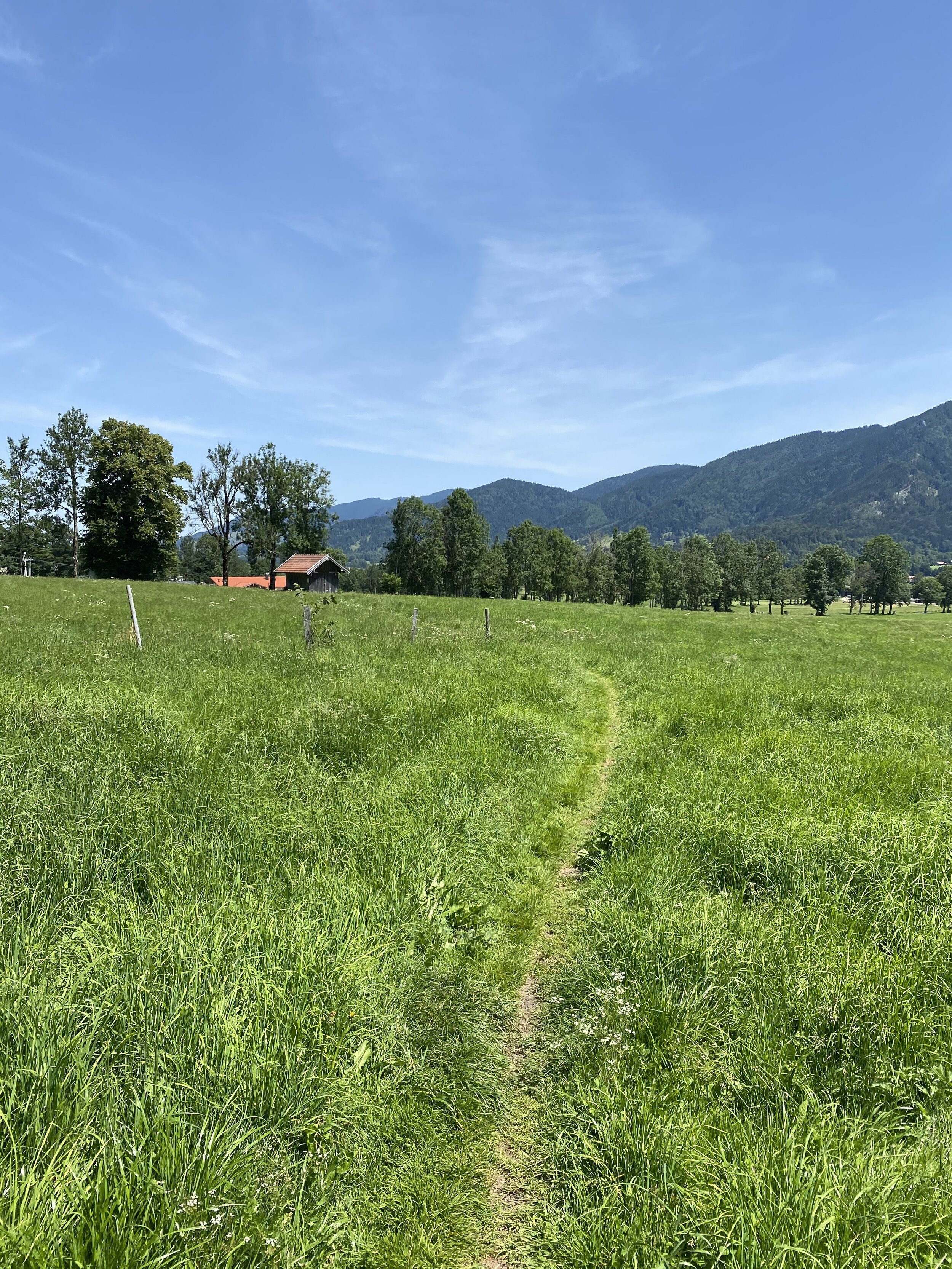 Wiesentrail vor Lenggries