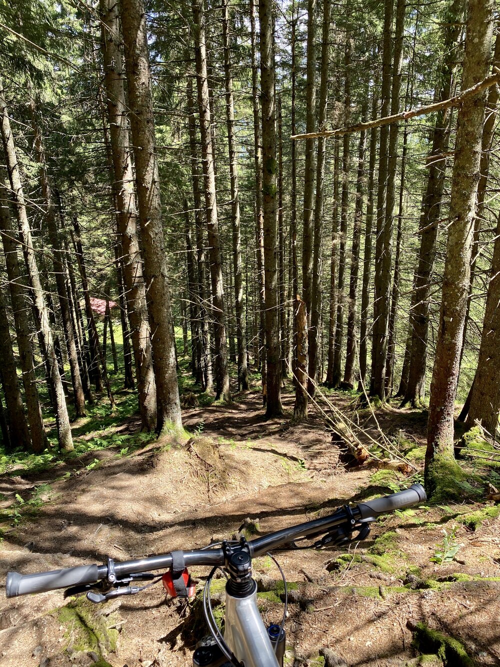 Der Trail hinter der Tegernseer Skihütte 