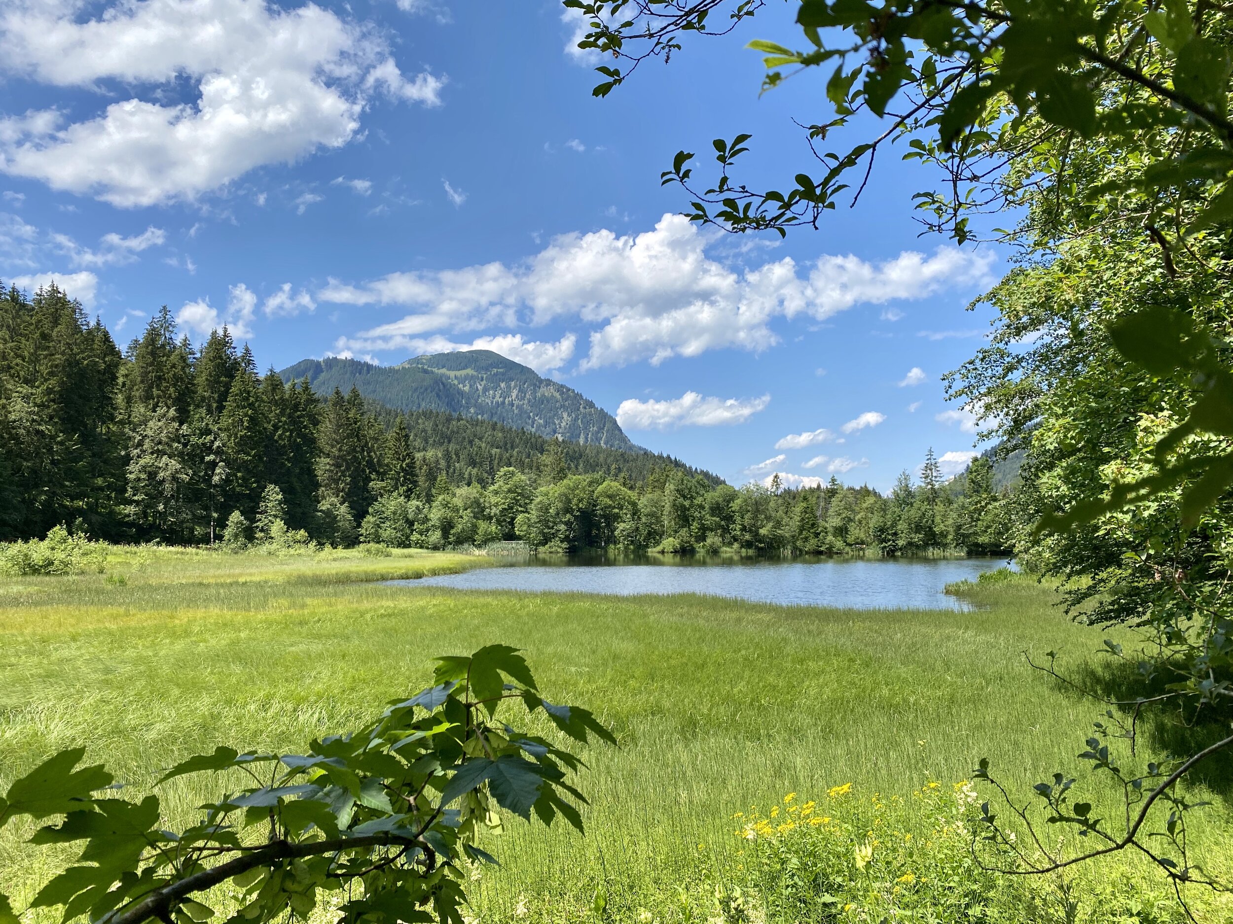 Der Suttensee