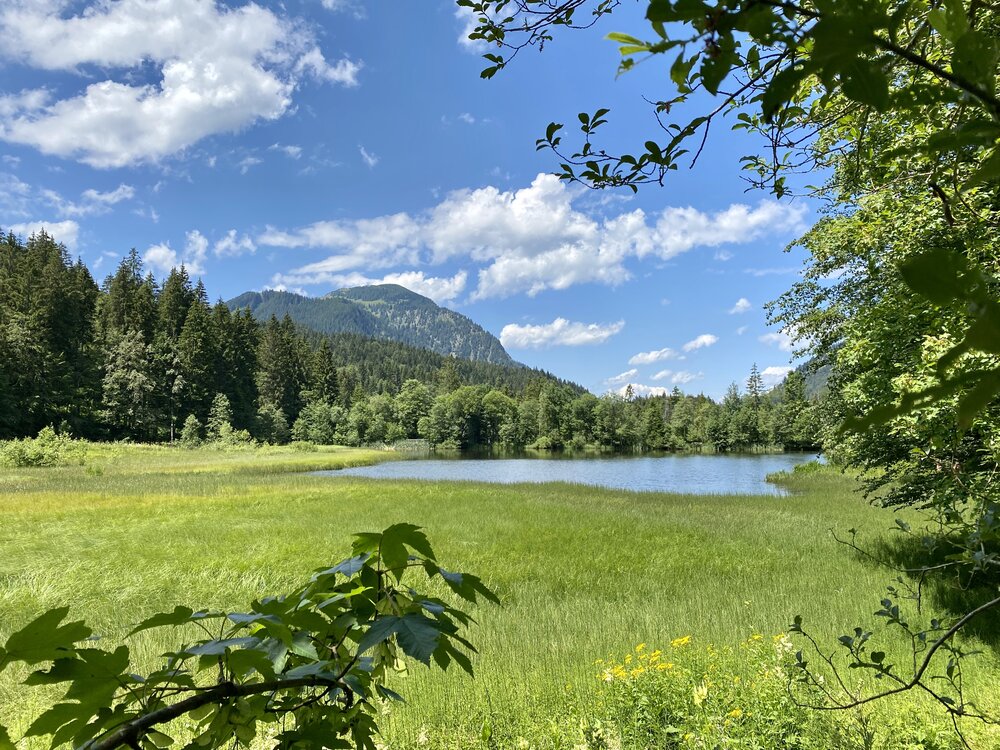 Der Suttensee