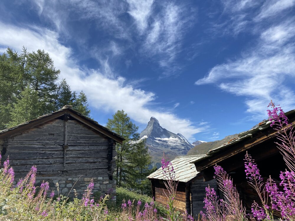 Blick von der Tuftern Alp aufs Matterhorn 