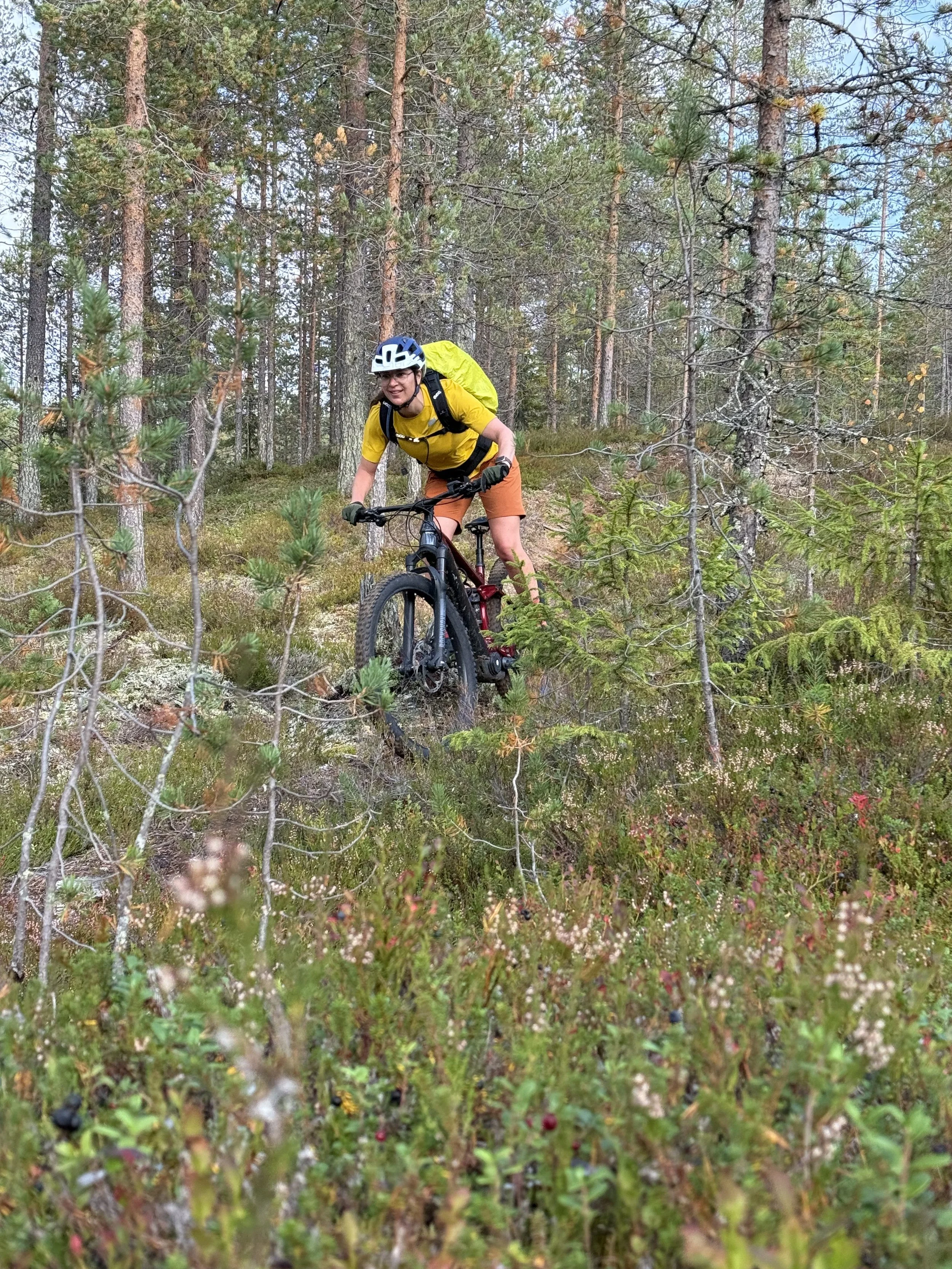 ... und Waldtrails.