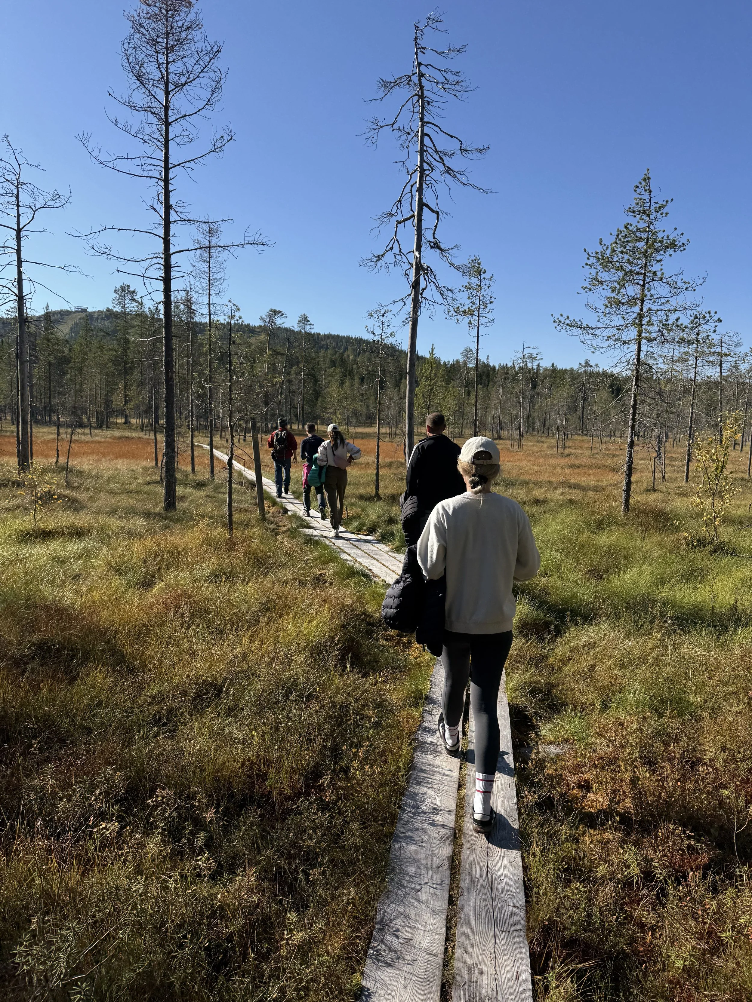 Die Natur in Stille erleben