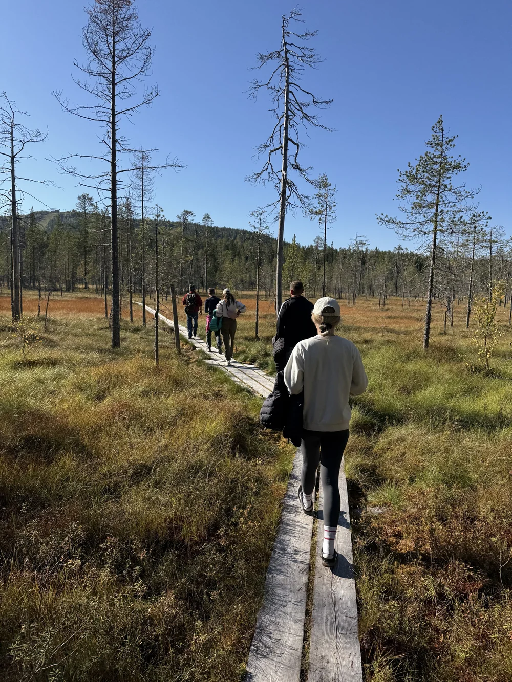 Die Natur in Stille erleben