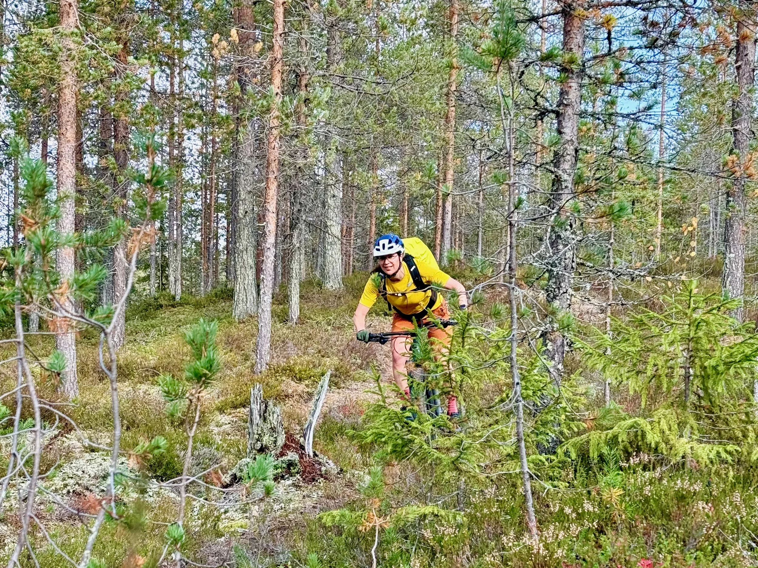 Mountainbiken in Syöte: Mein Guide mit allen Infos Tipps für deinen Mountainbike-Urlaub im südlichsten Fjäll Finnlands