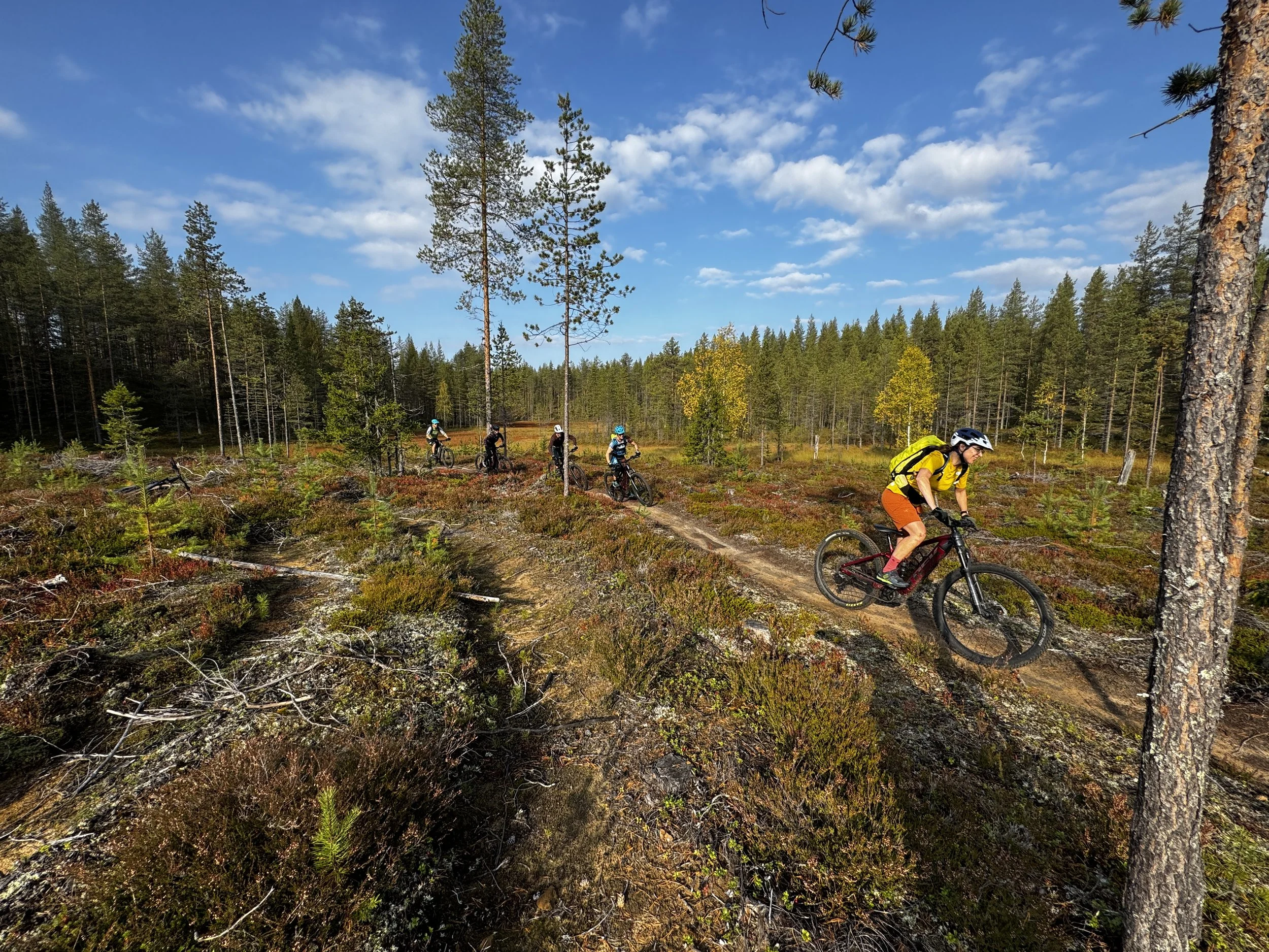 Wald-Trail-Flow