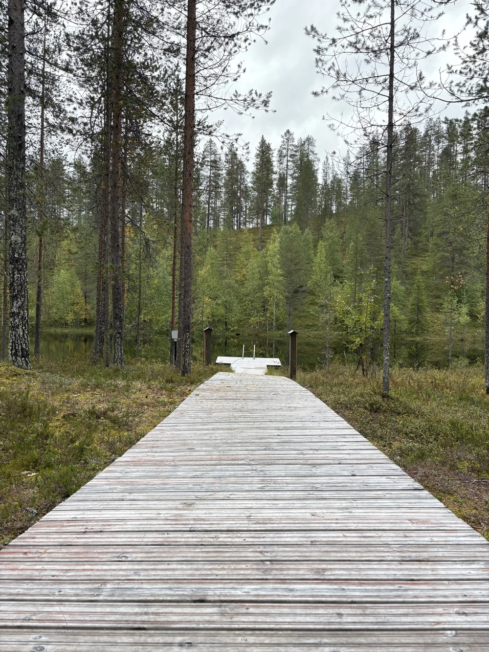 Steg von der Sauna in den See