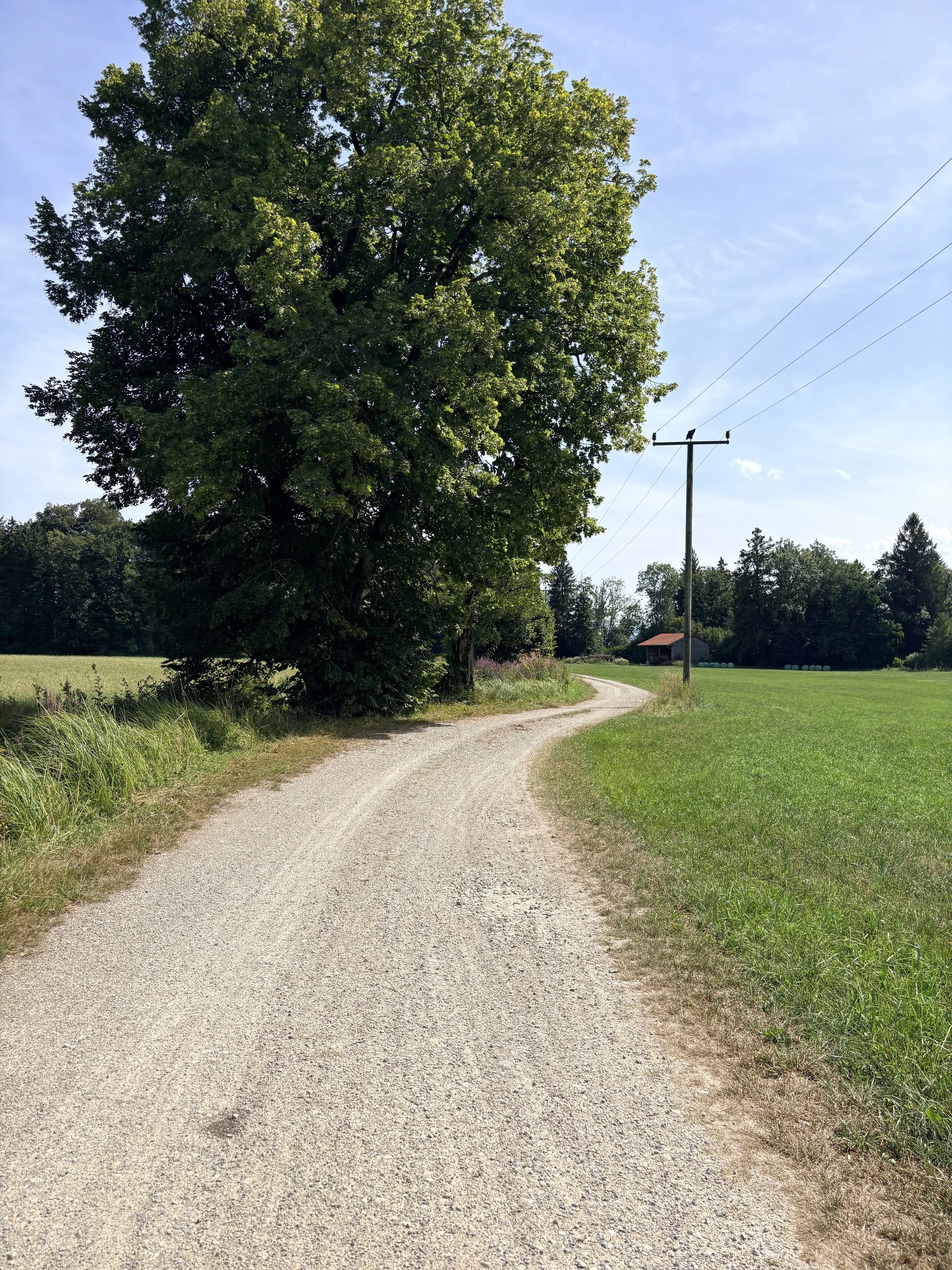 Unser Weg.