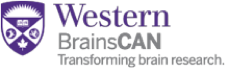 brainscan_logo.png