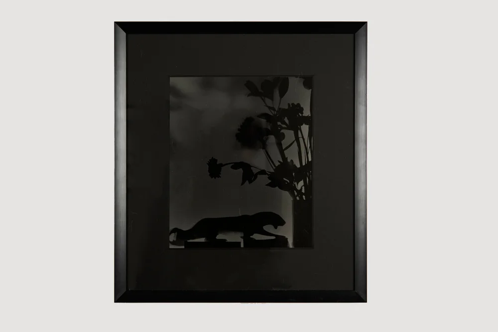 Hernan Bas untitled 2 2016 Silver gelatin print 18 x 16 1/2 inches