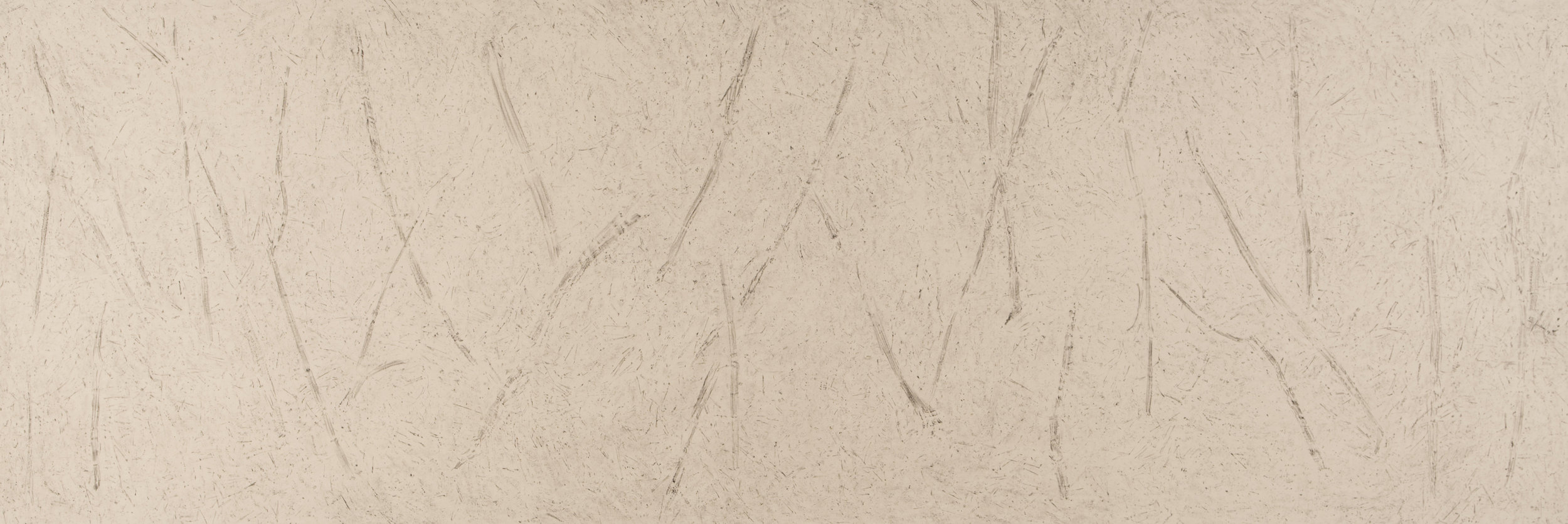 Alan Sonfist Under the White Pine, 1968 Resin on canvas 72 x 216 inches