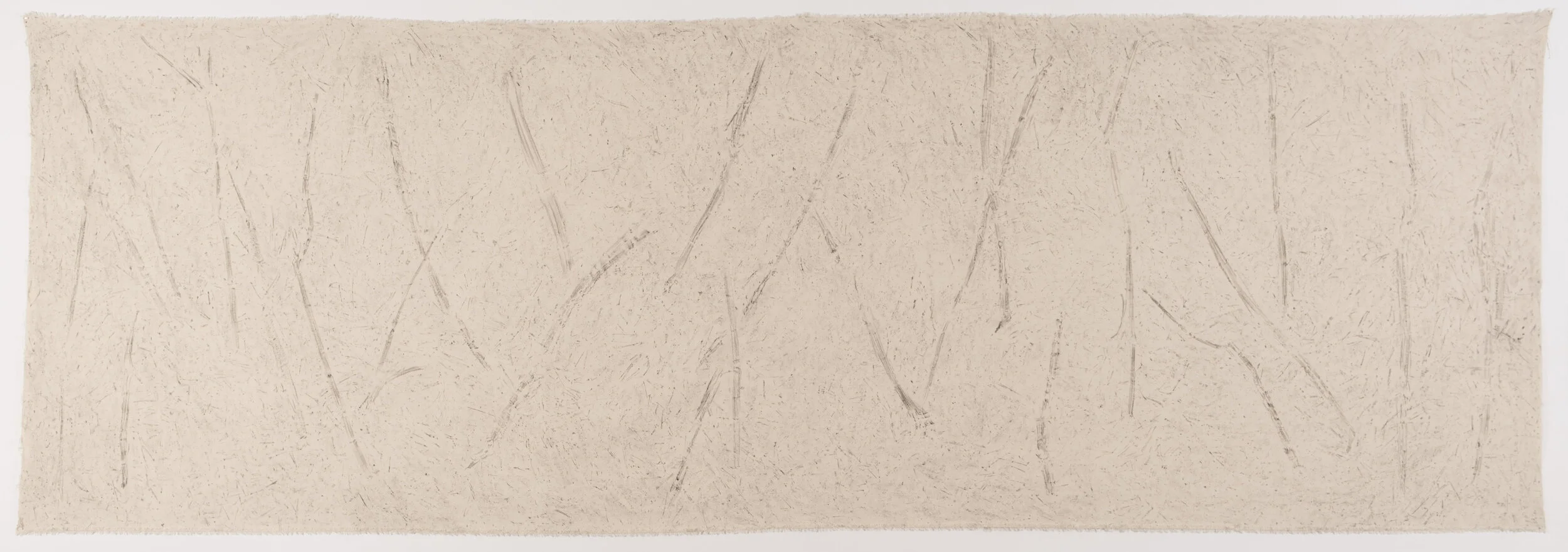   Alan Sonfist   Under the White Pine , 1968 Resin on canvas 72 x 216 inches 