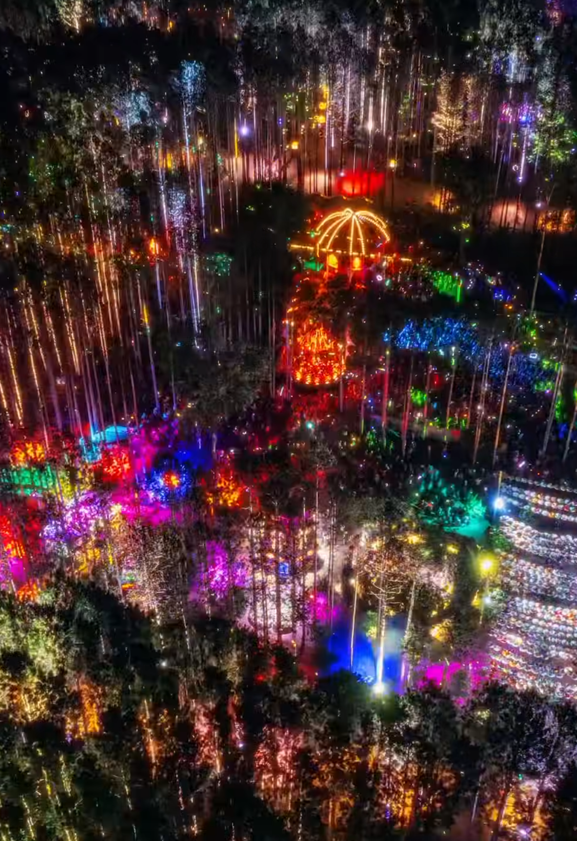 Overview of the Forest