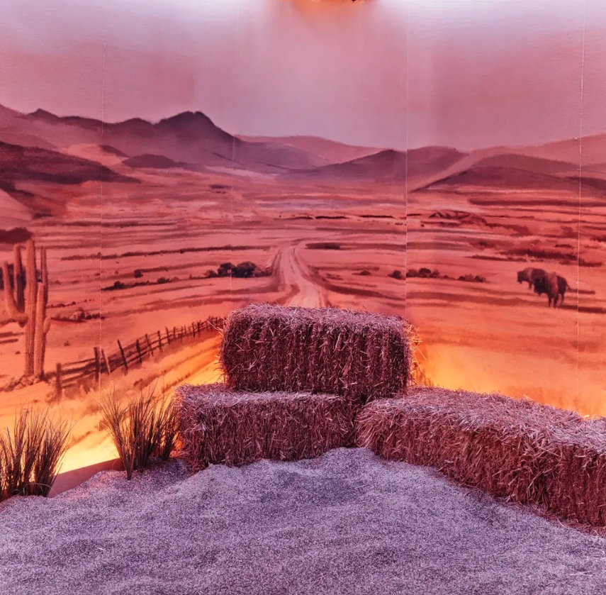 Screenshot 2026-03-03 at 11.50.23 AM.png