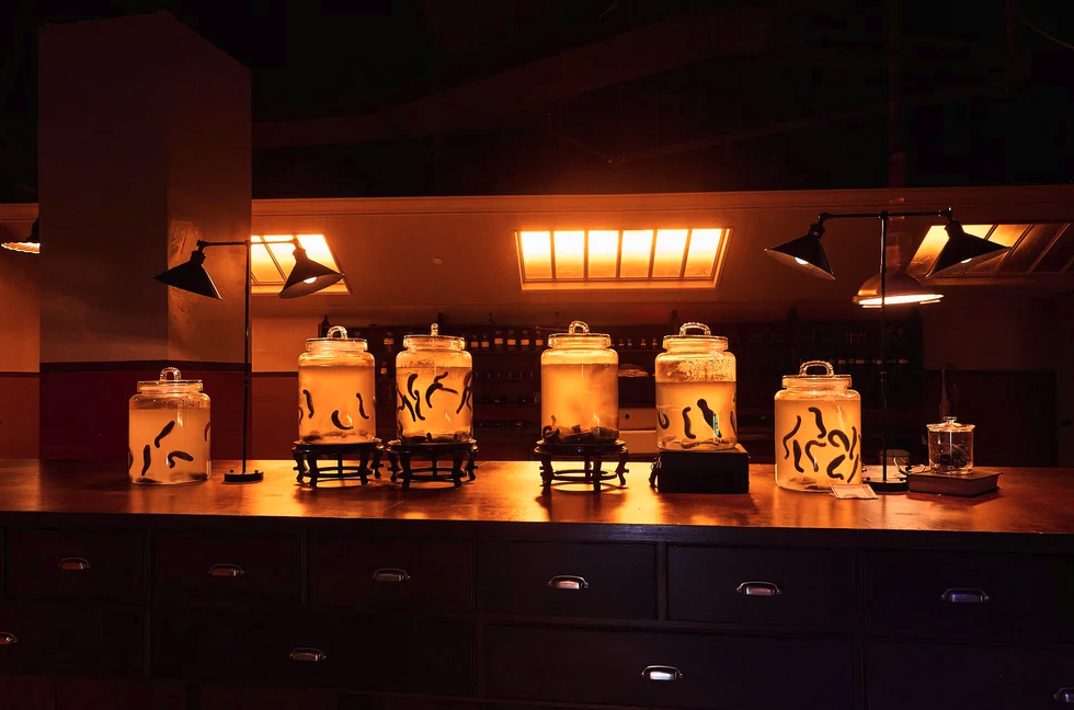 Screenshot 2026-03-03 at 11.52.00 AM.png