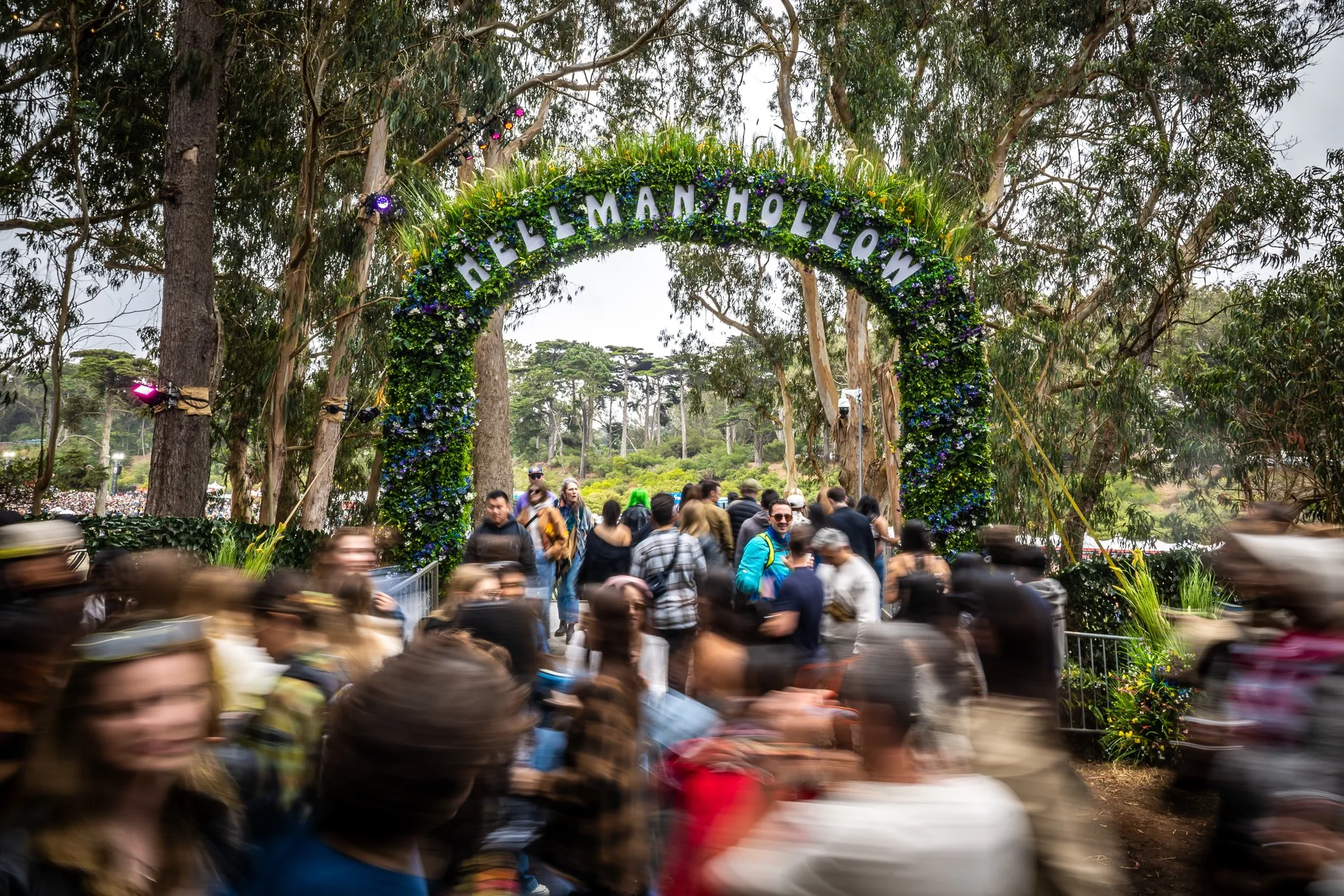  McLAREN FLOWER ARCH 