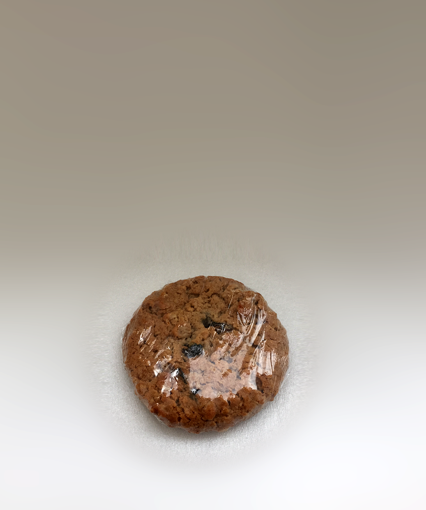 Oatmeal-Raisin-Landing-01.png