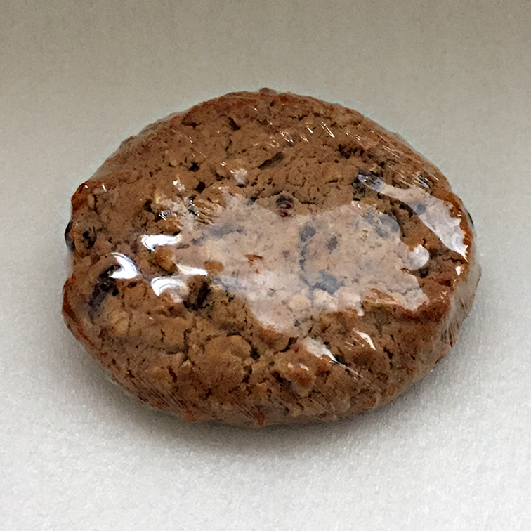 Oatmeal-Chocolate-Chip-L-02.png