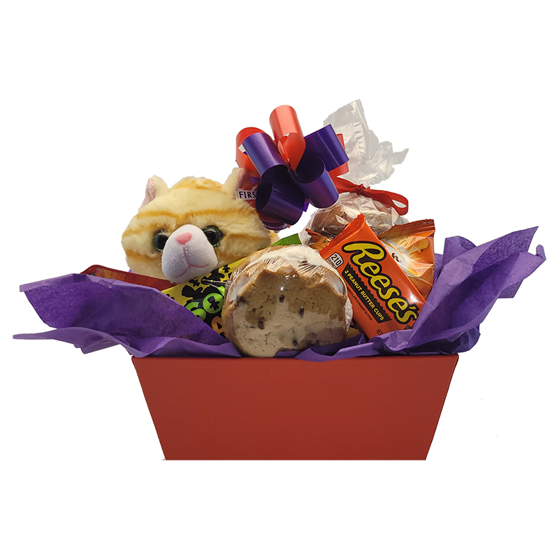 Valentine's Day Kitty Snack Pack