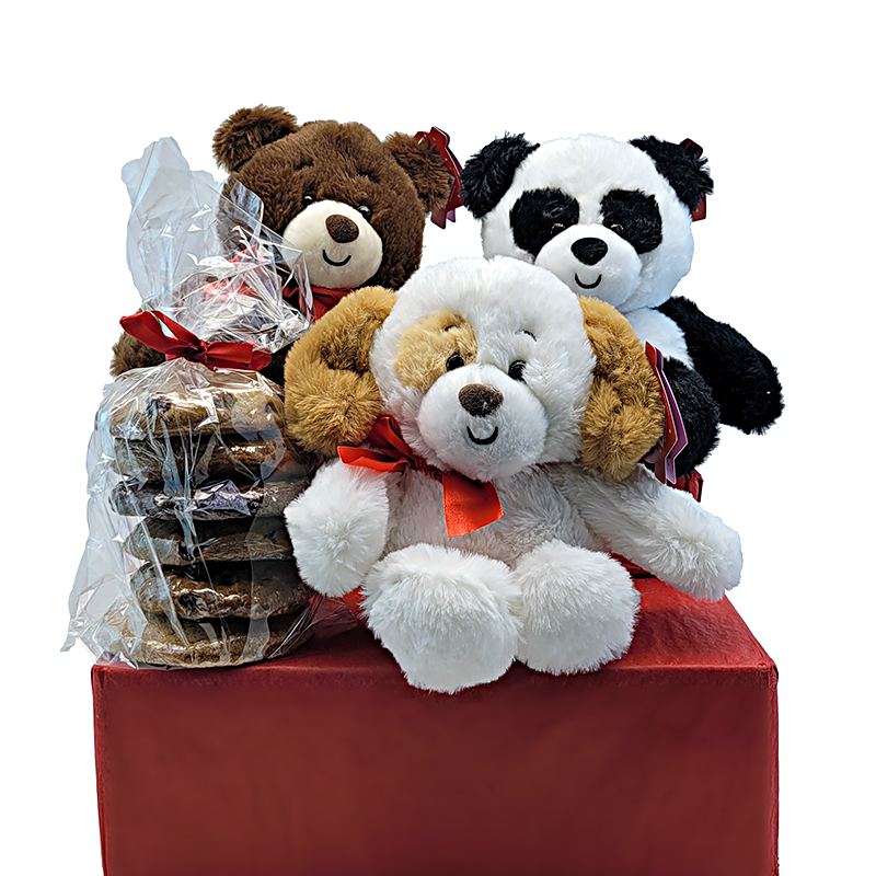 2Bears-Puppy-01.png