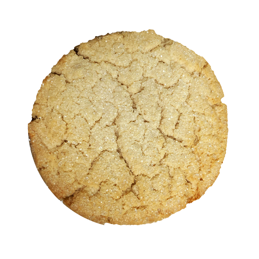 Dairy Free Gluten Free Sugar Cookie