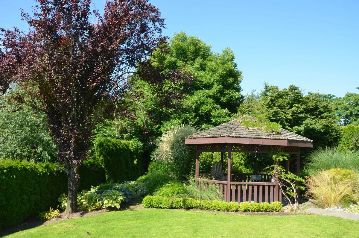 DSC_6803.jpg