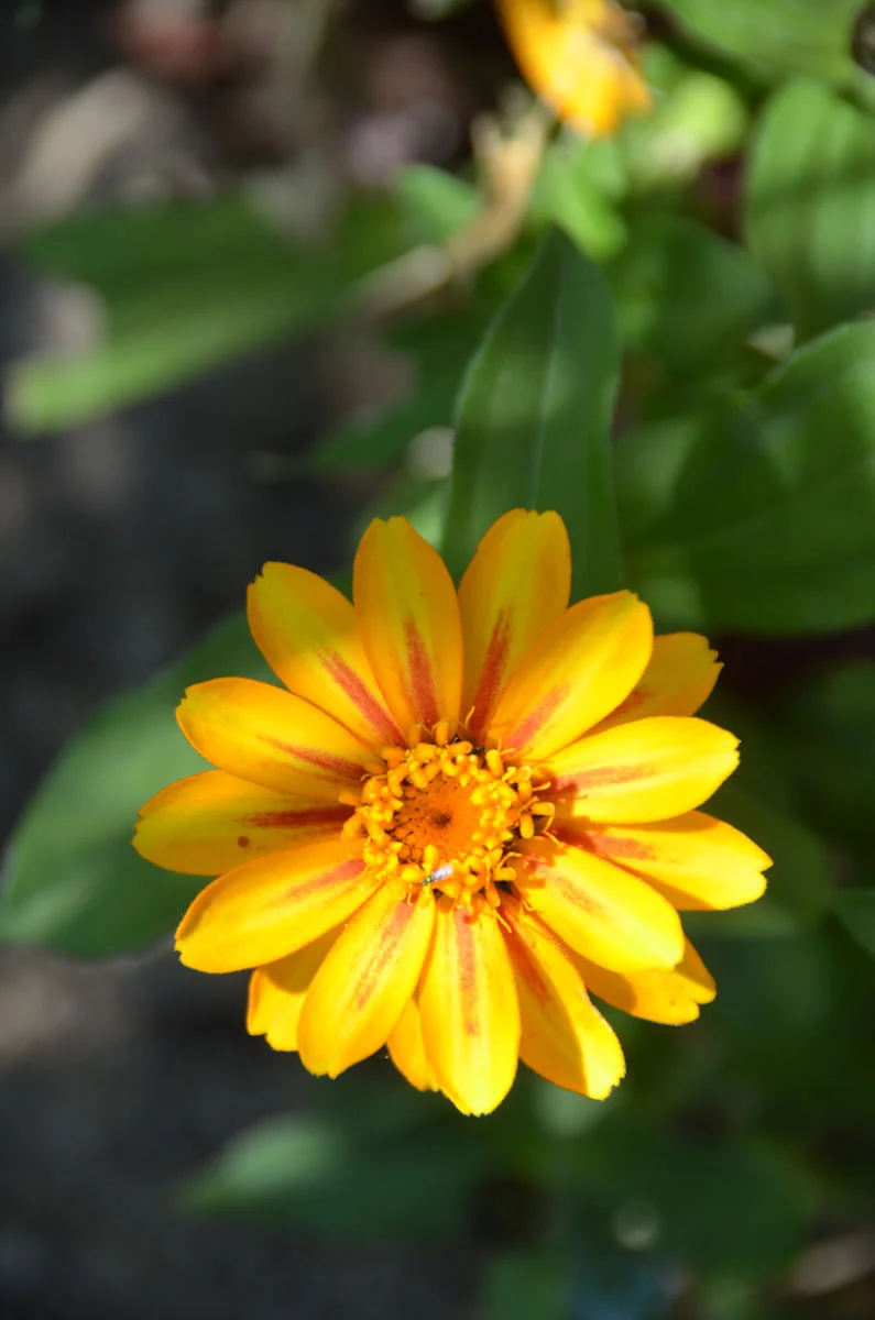 DSC_6831.jpg