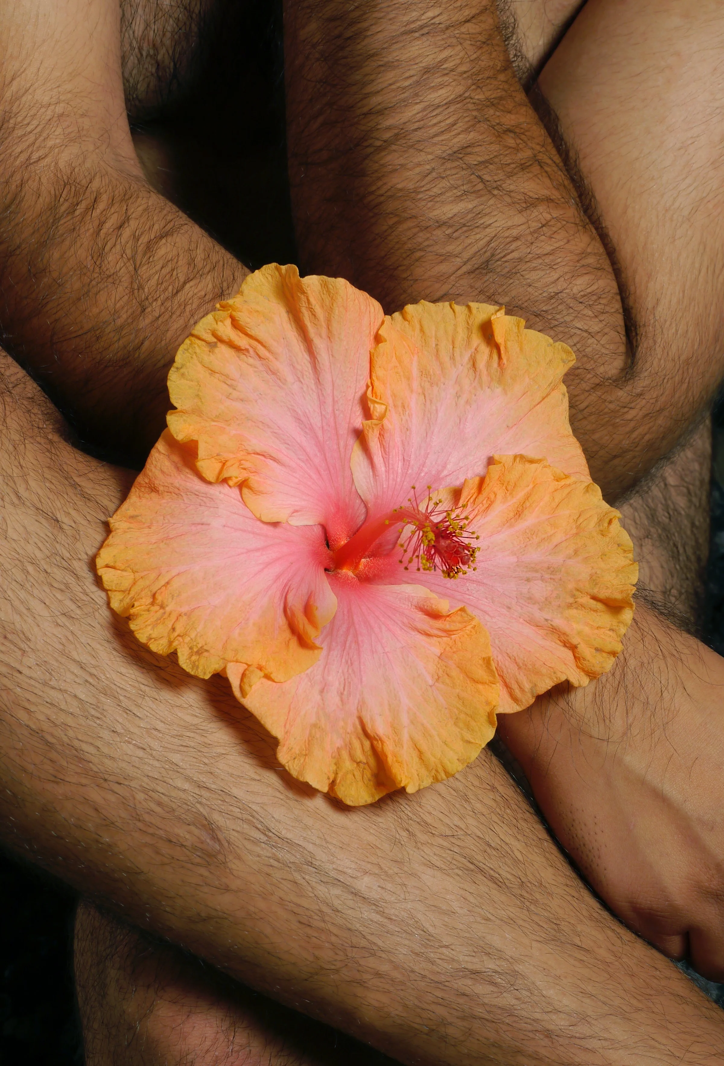 Floral Lanscape