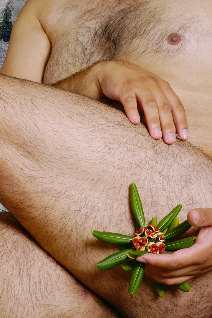 1. Bud.jpg