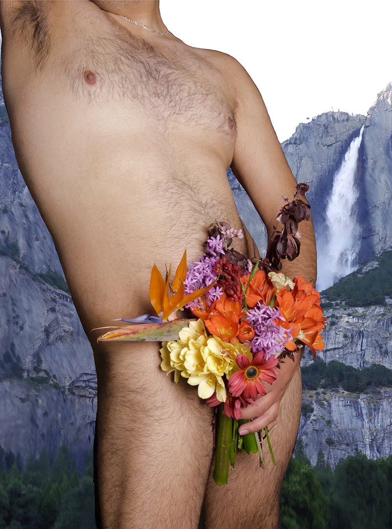 7. Trans-plant.jpg