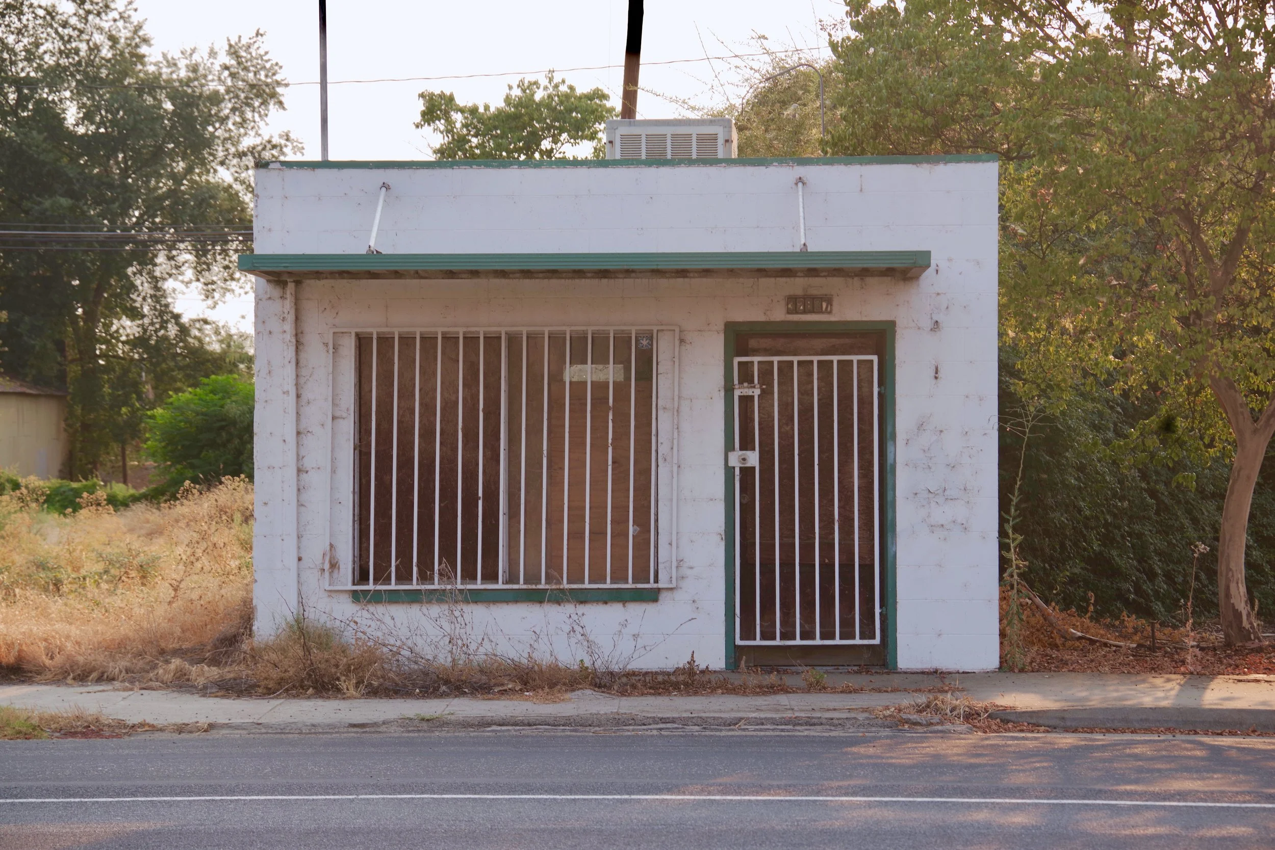 Lemon Cove, CA. 2018