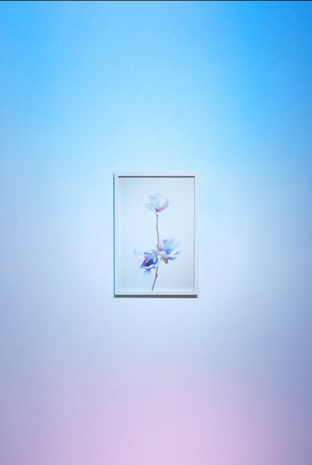 Screen Shot 2018-08-23 at 10.50.31 PM.png