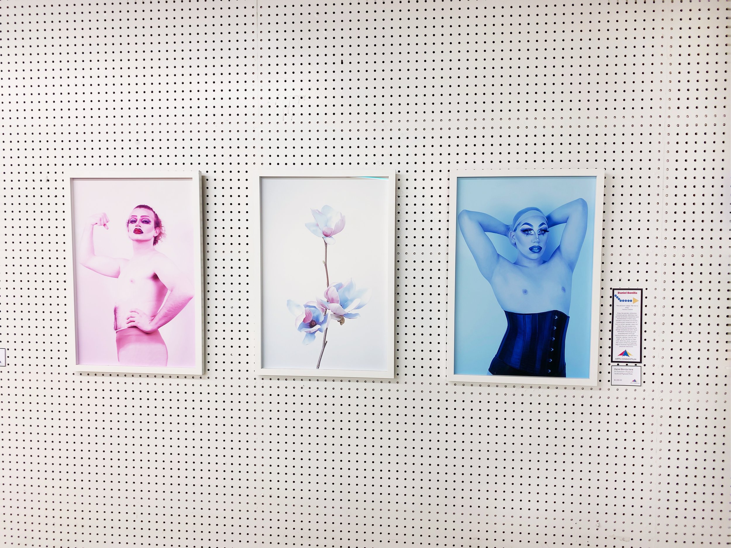 In Transition (Triptych)