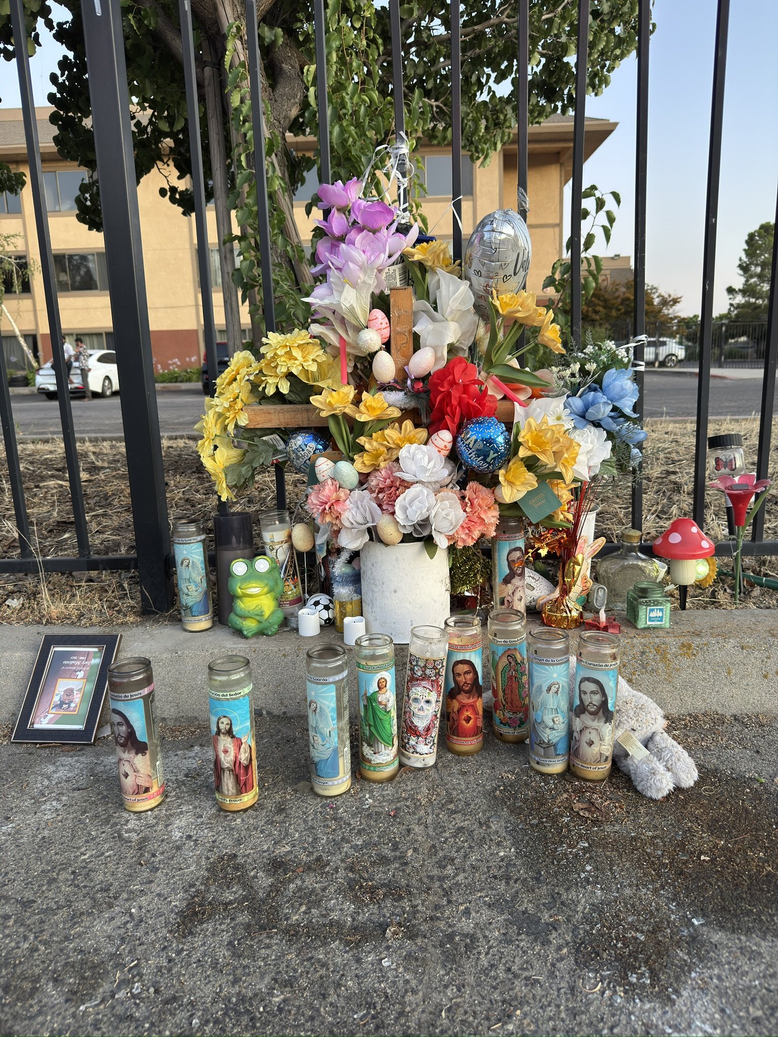 Joey Modesto 1980-2023
