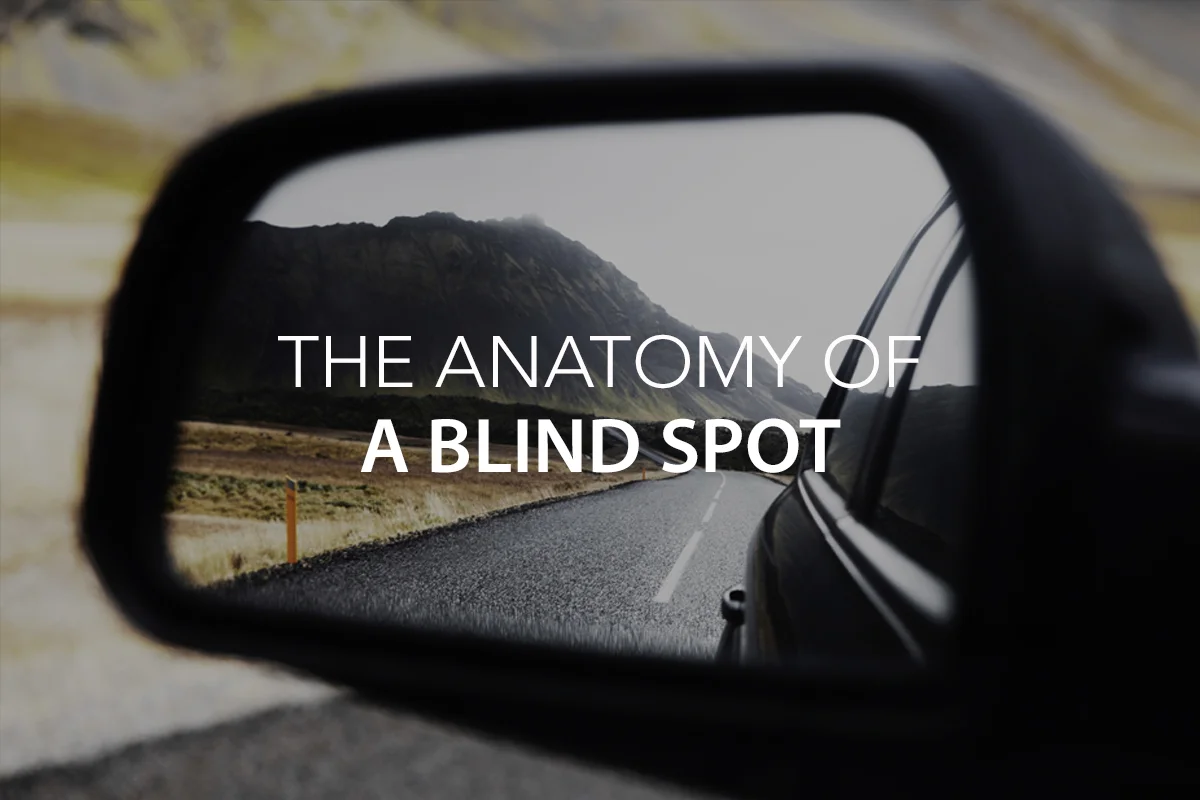 The Anatomy of a Blind Spot