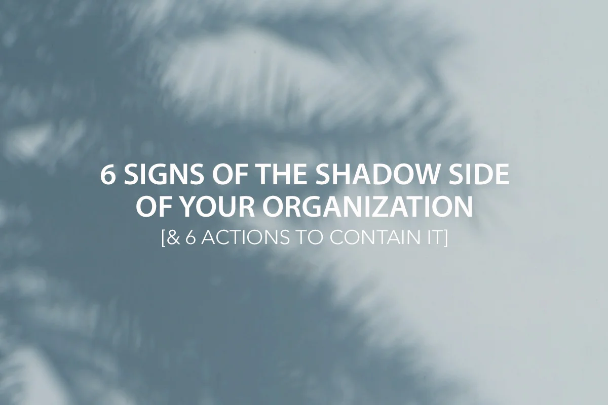 6 Signs of The Shadow Side of Your Organization &amp; 6 Actions to Contain It