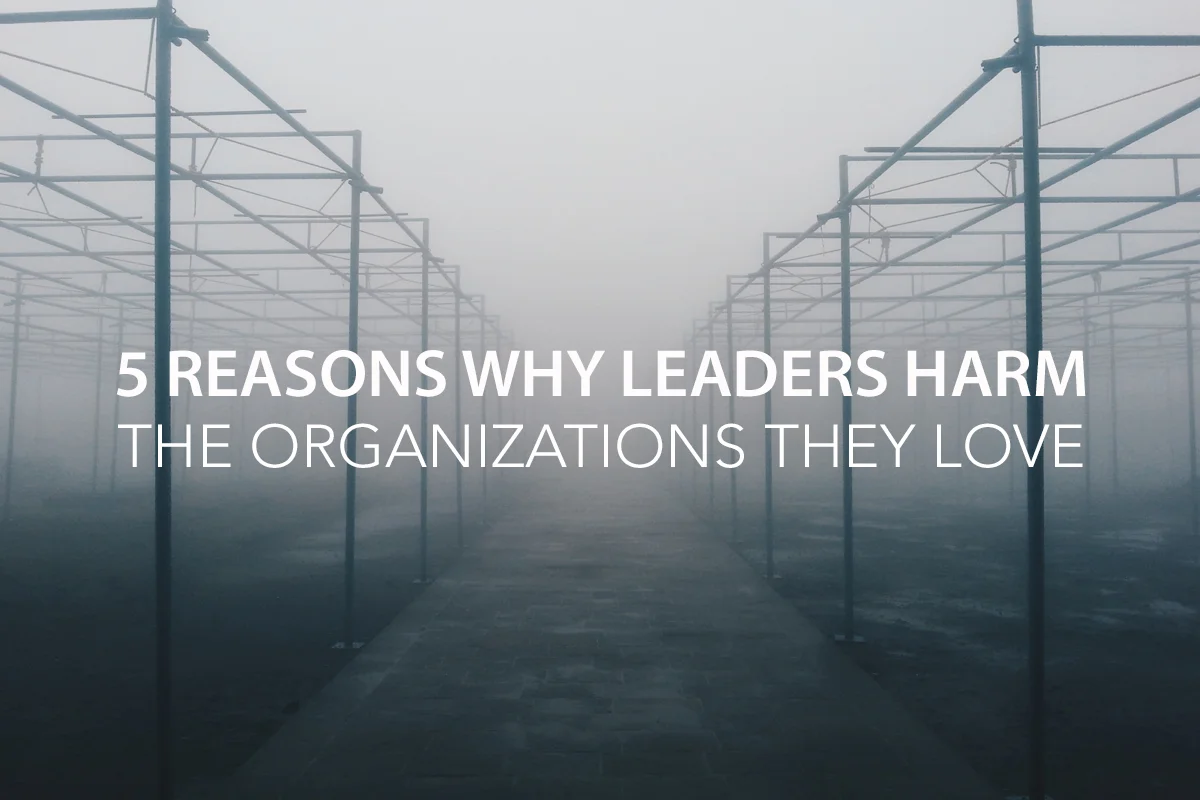 5 Reasons Why Leaders Sometimes Harm the Organizations They Love