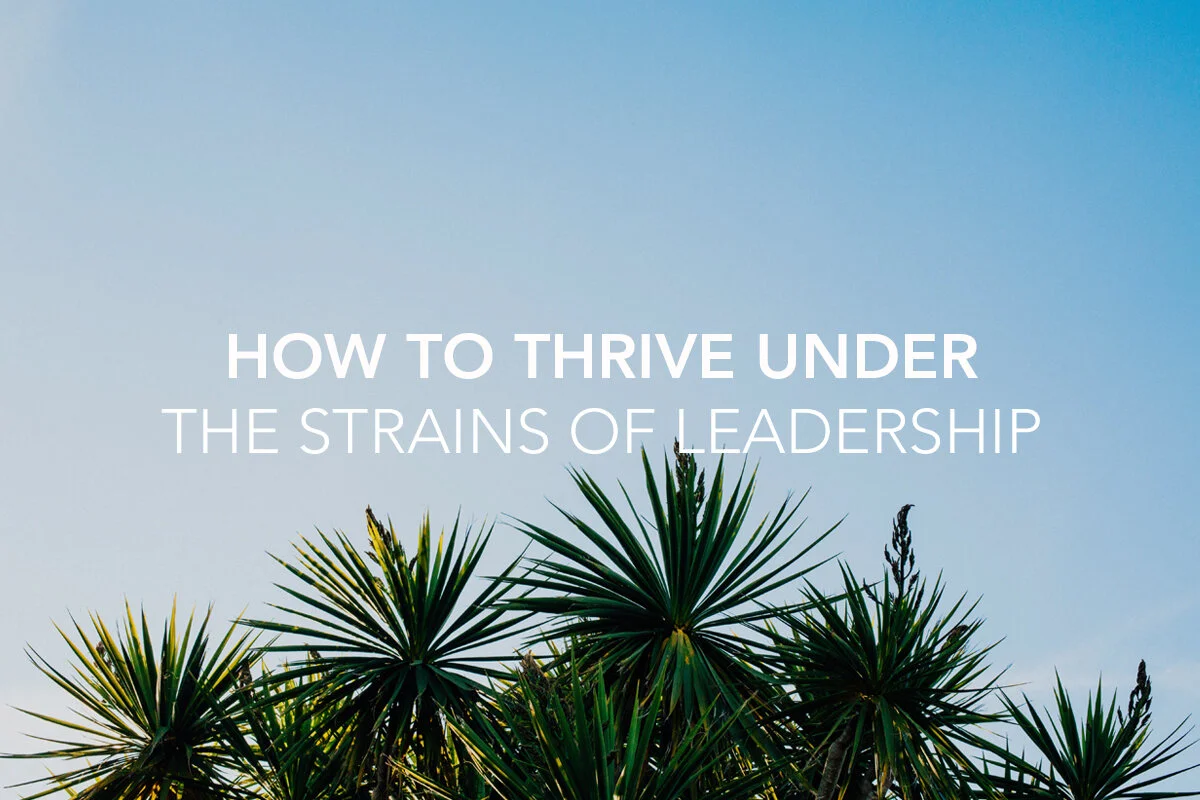 How to Thrive Under the Strains of Leadership