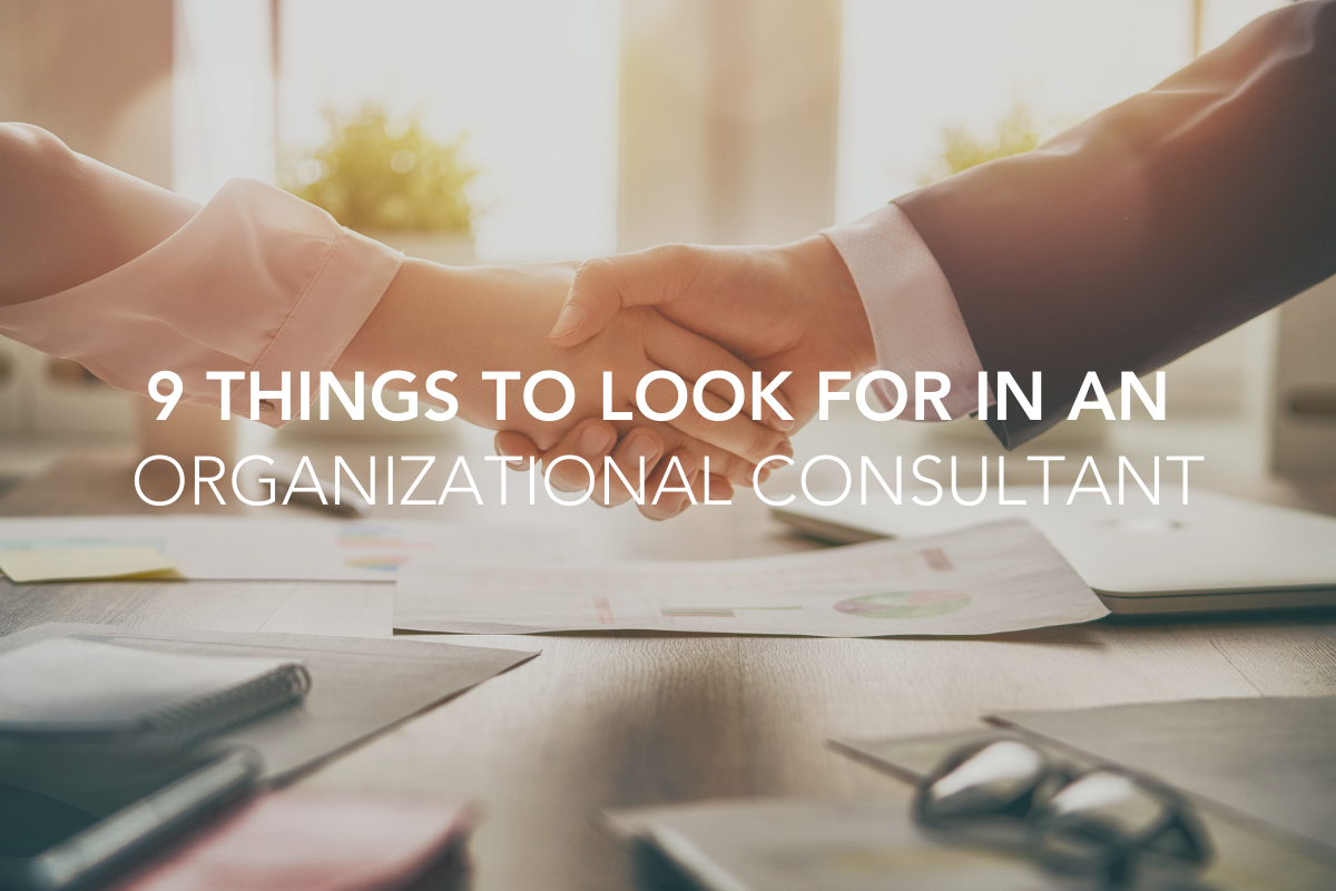 9 Things to Look for in an Organizational Consultant or Coach