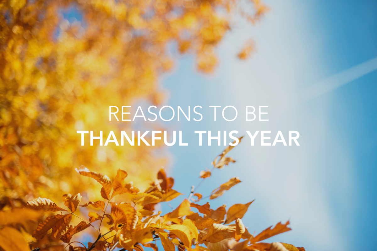Reasons to be Thankful This Year