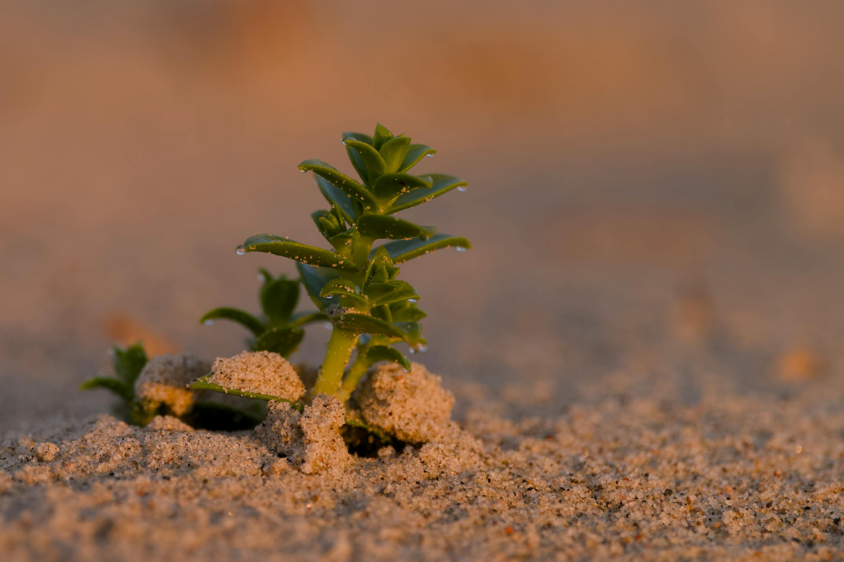 3 Ways to Build Resilience Before a Crisis Hits