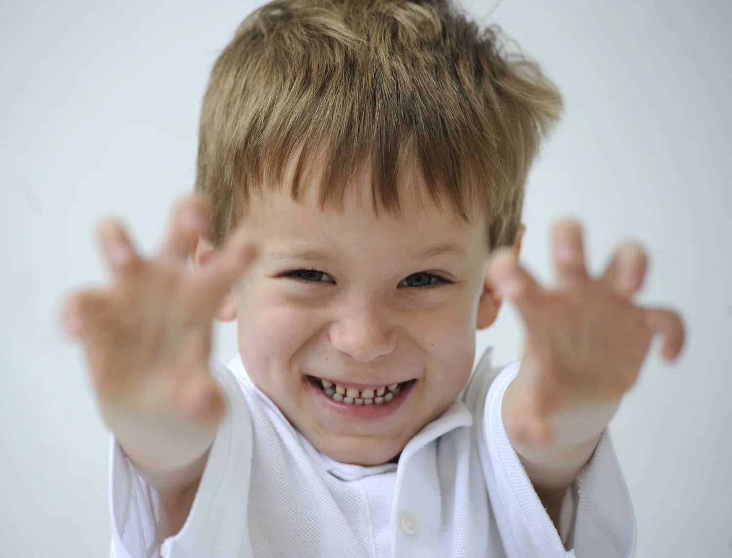 joey-portrait-copyright-andrew-french.jpg