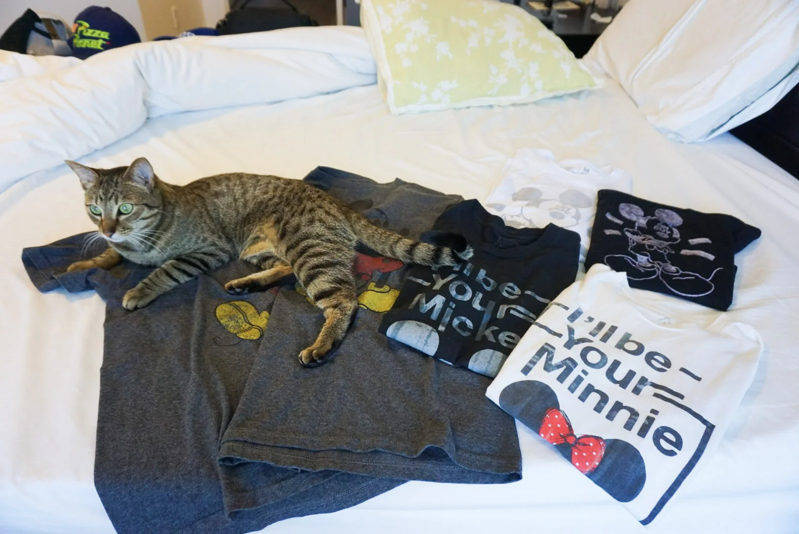  Just a little behind the scenes of what it's like trying to take pictures in our house. Laying on clothes is his favorite thing. 