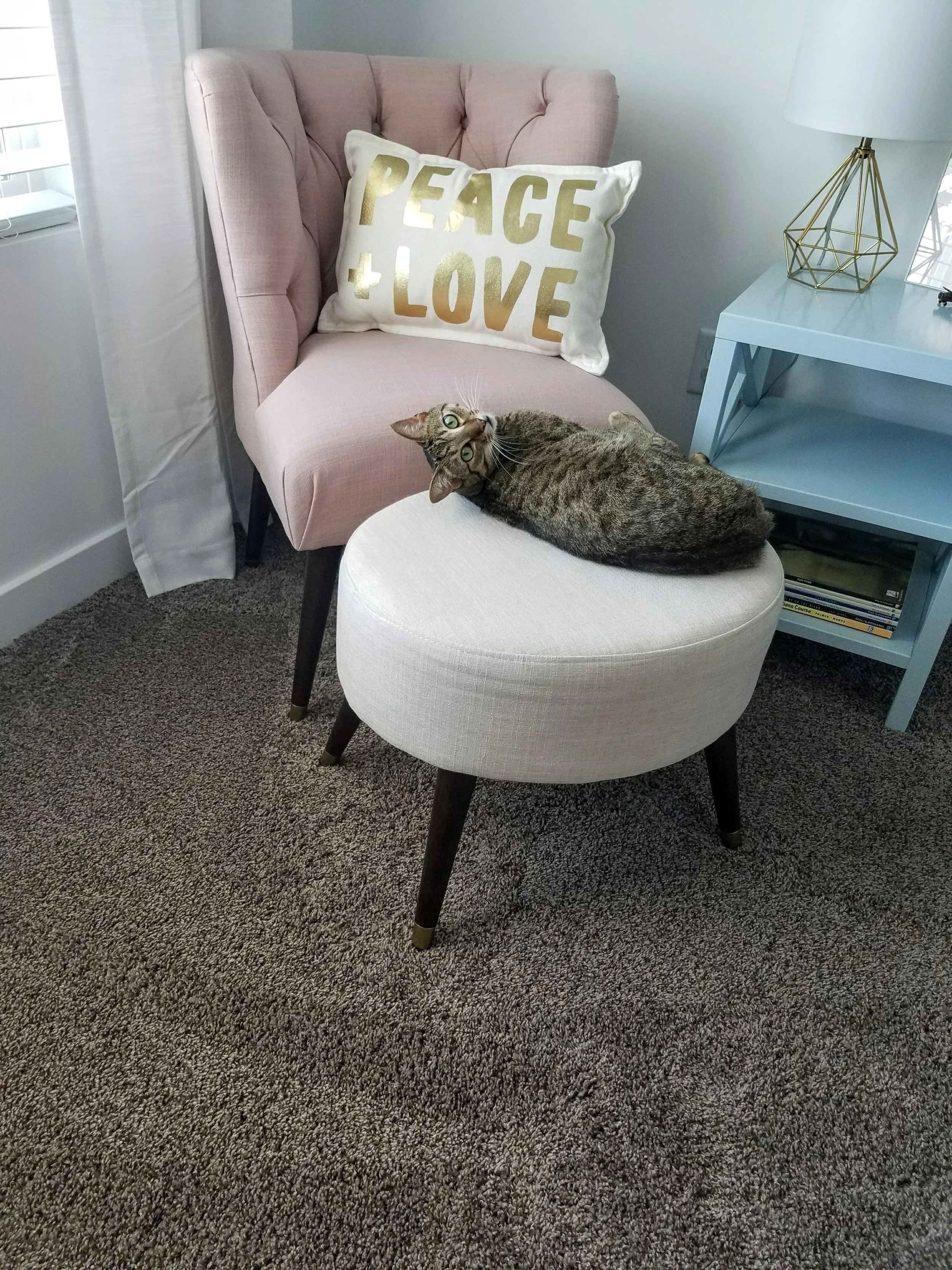  A little behind the scenes because the cats love it too! 