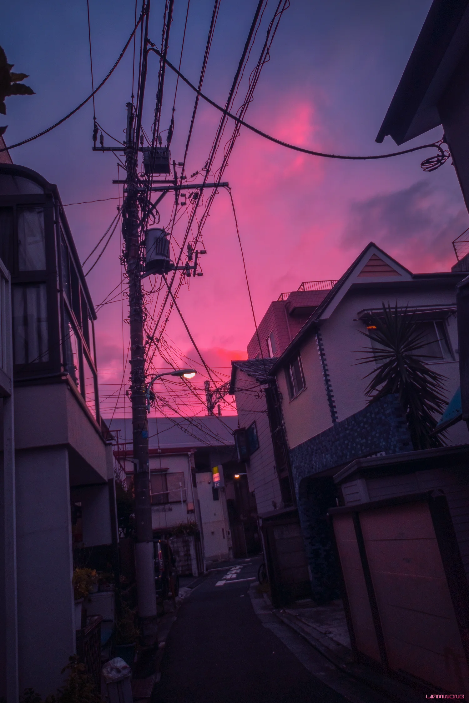 Liam Wong Art Director Photographer Anime Skies