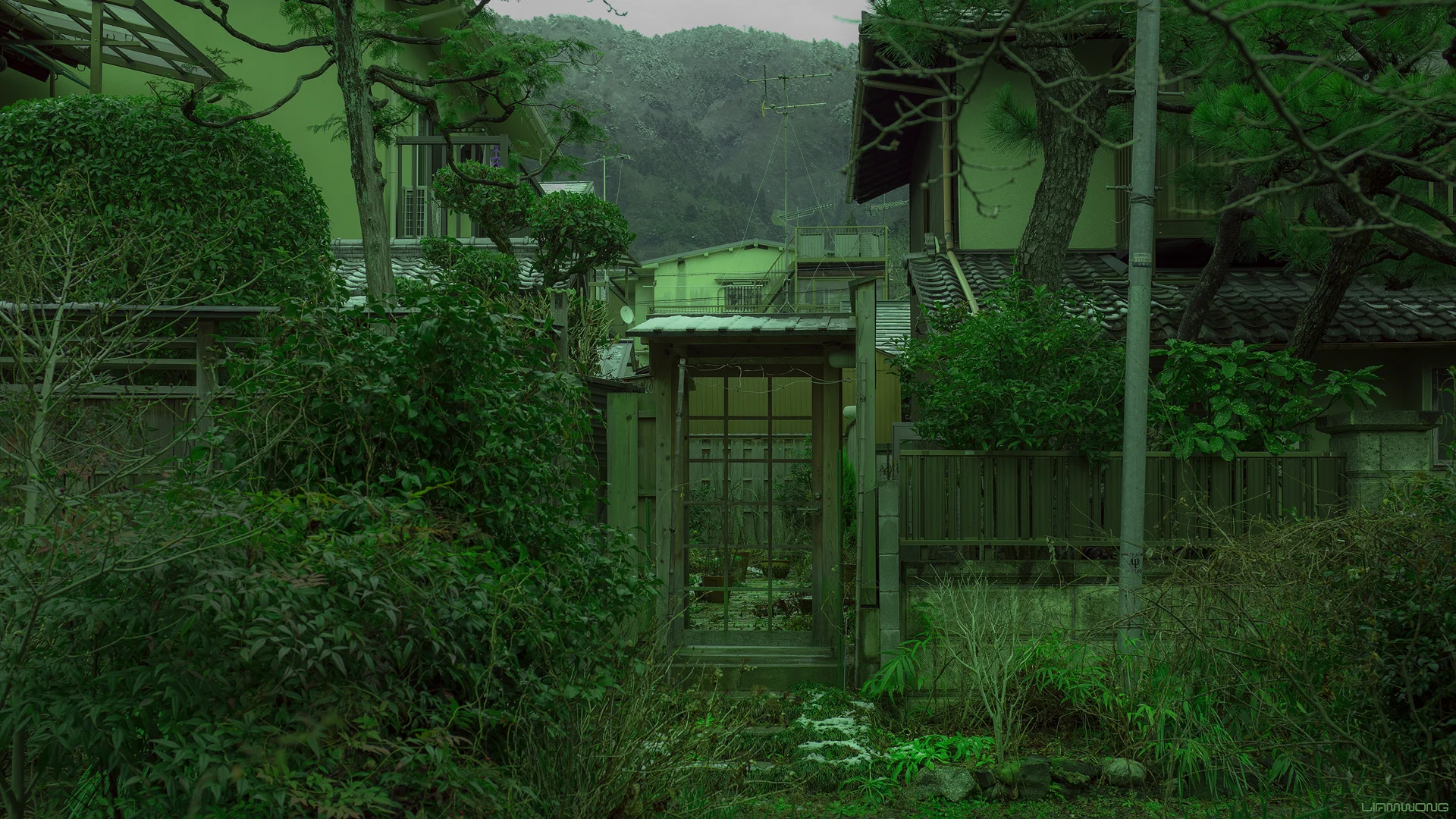 まっちゃページ Liam Wong - KyotoMatcha Green