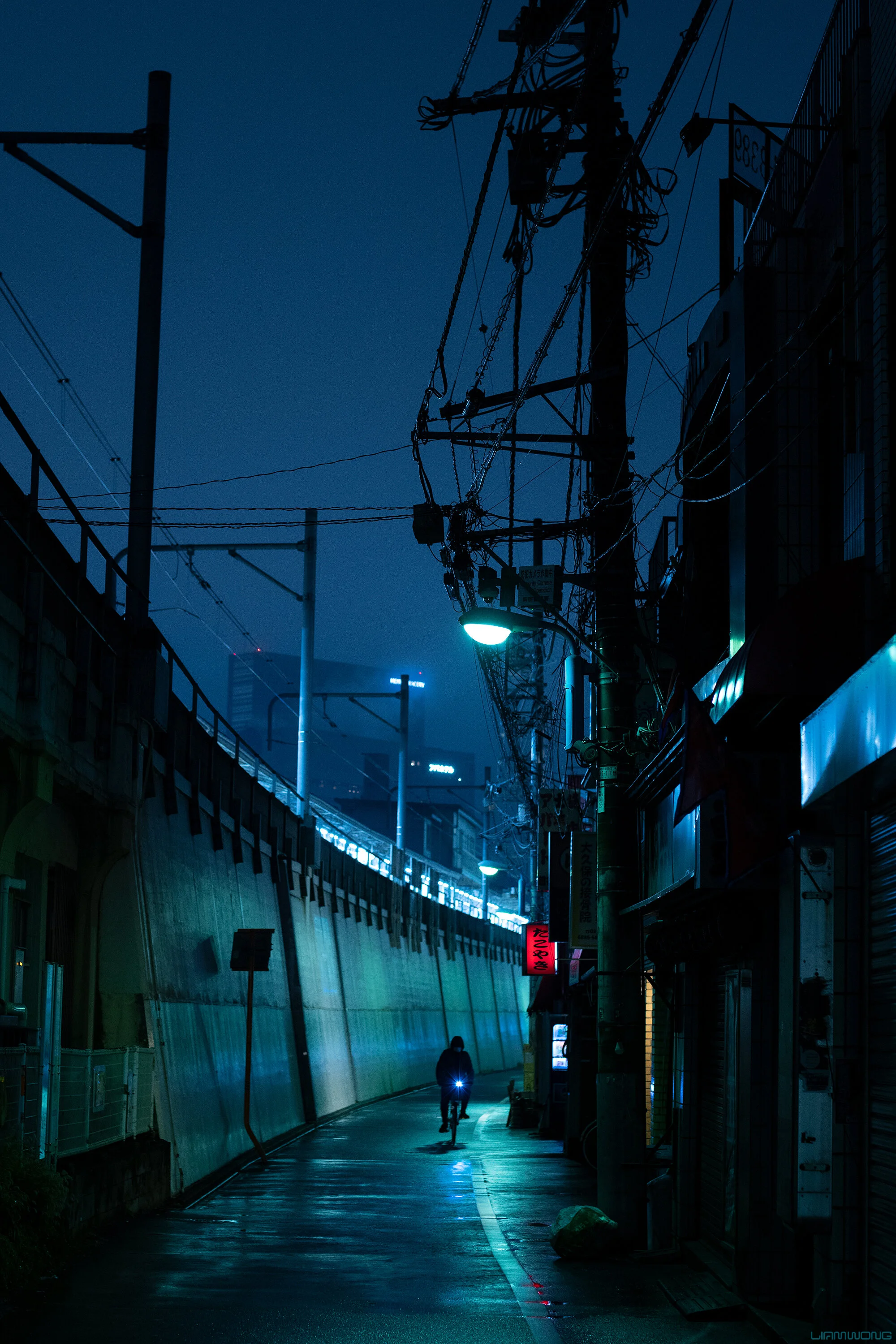 https://images.squarespace-cdn.com/content/v1/571fc5edd210b89083925aba/1578991927140-0GPRTMB70SPE4V0G9XIM/Liam_Wong_Tokyo_After_Dark_Cyberpunk_3d_Photography_Okubo.jpg?format=2500w